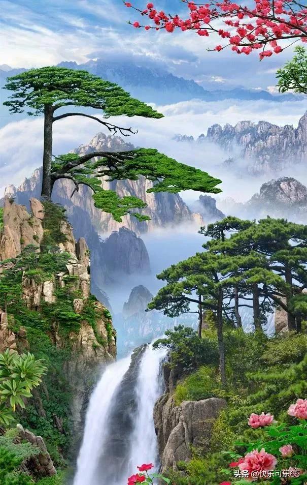 寻找沙漠珍宝