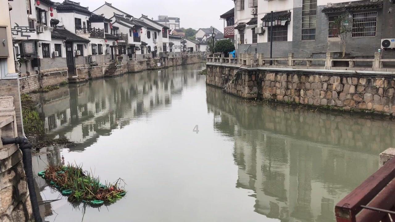 了不起的麦瑟尔夫人